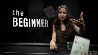 Beginner