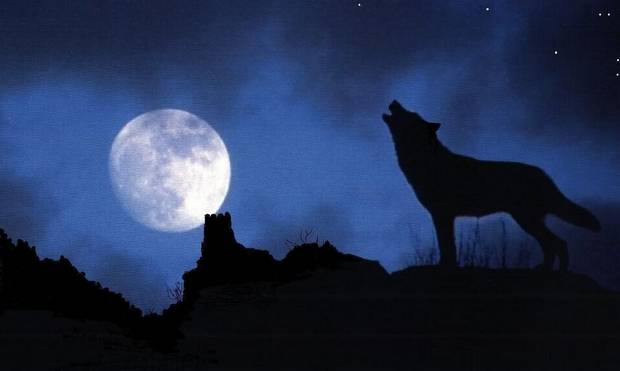 ColdMoon