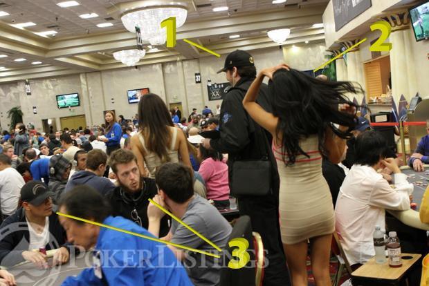 Hellmuth pic by numbers