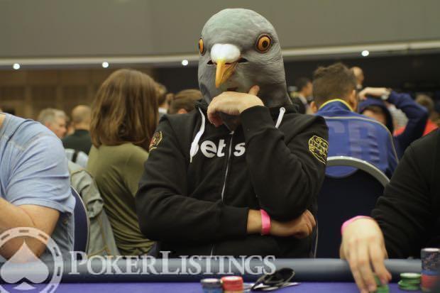 Pigeon guy