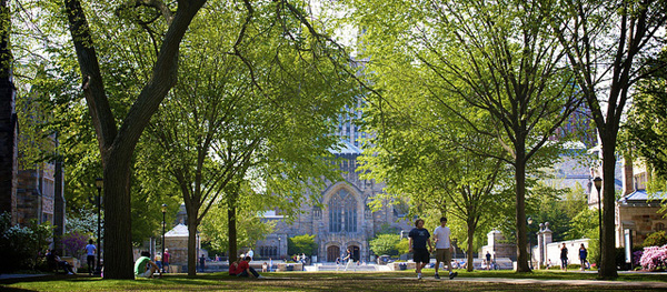 Global poker strategic thinking society harvard
