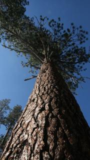 The beauty of Lake Tahoe