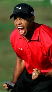 tiger woods dramatic photo 11