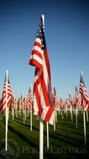 U.S. flags