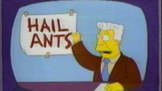 hail ants