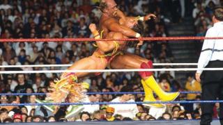 hoganwarrior