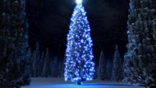 winter wonderland christmas tree