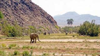 africa