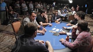 Day 3 Field