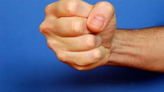 Fist punch