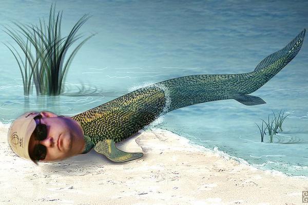 Steve Landfish