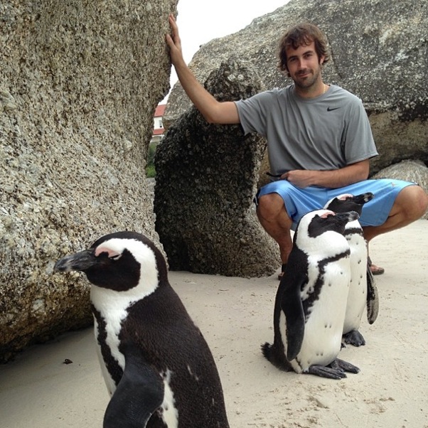 mercierpenguins