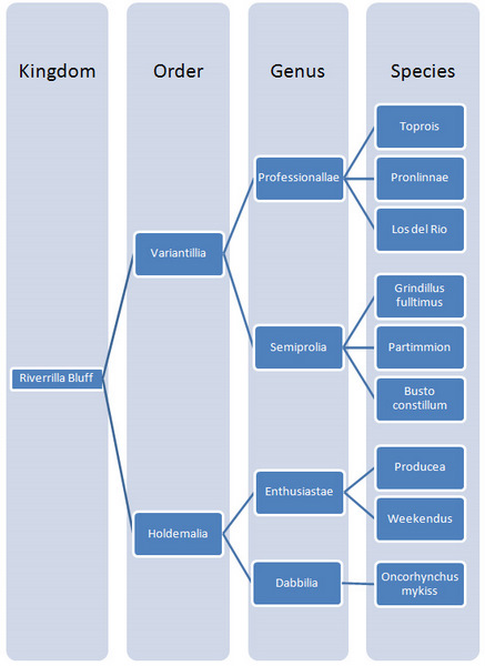 The Poker Player Heirarchy