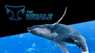 super whale