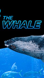 super whale