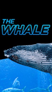 super whale