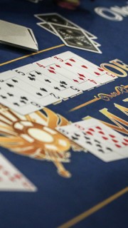bingo loft flash poker