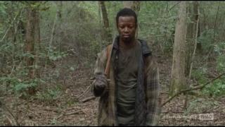 bobwalkingdead