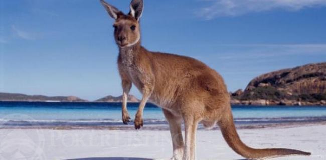 western australia kangaroo beach