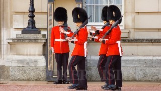 Palace Guards at Buckingham Palace, London