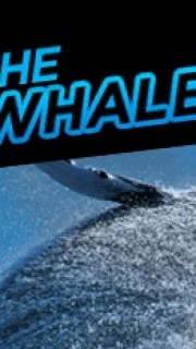 the whale