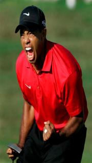 tiger woods dramatic photo 11