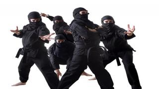 Ninja group